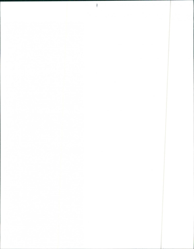 1992 Nissan Maxima SE - Vintage Photograph