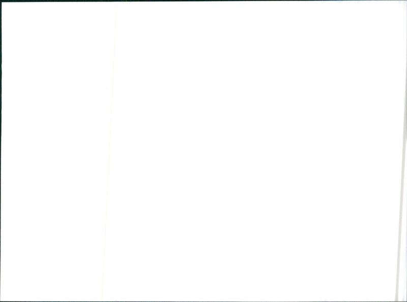 Datsun Cherry GL - Vintage Photograph