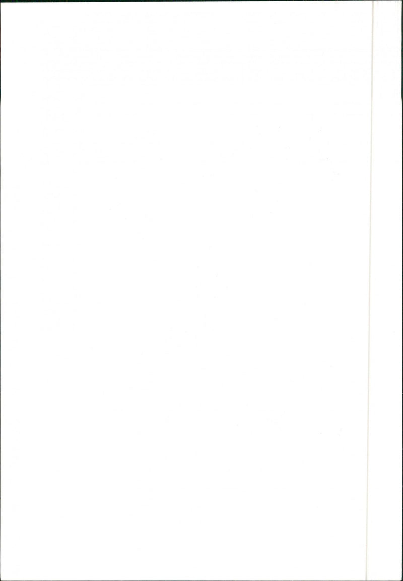 Lancia Delta HF - Vintage Photograph