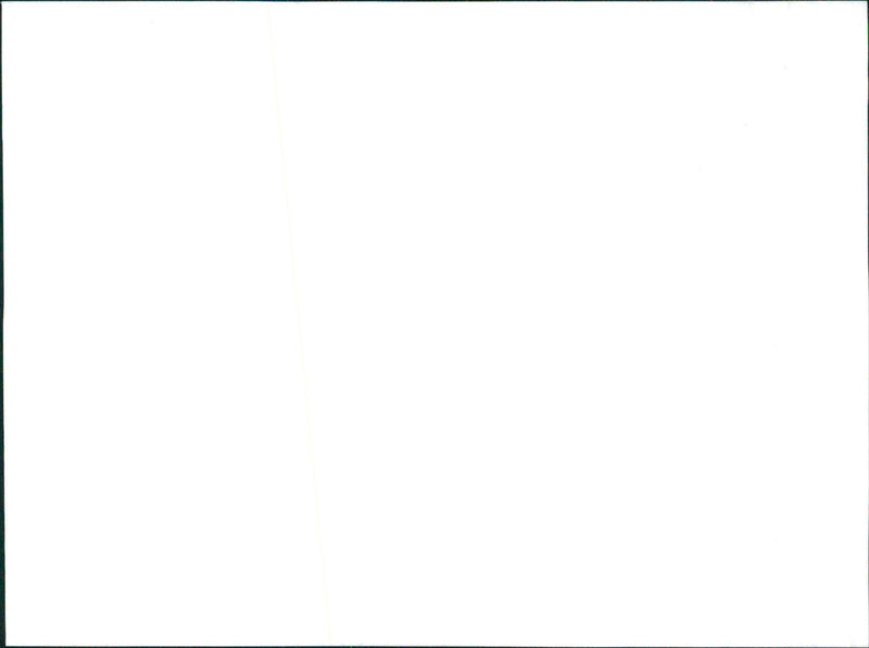 Datsun Sunny - Vintage Photograph