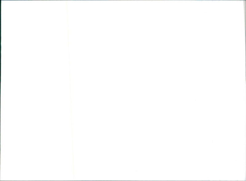 Datsun Cherry GL - Vintage Photograph