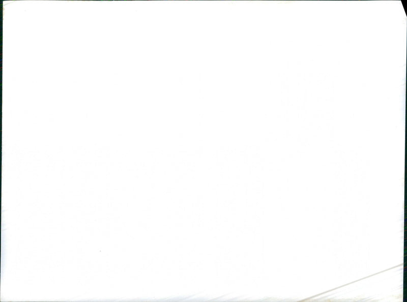 Alfa Romeo Alfasud - Vintage Photograph