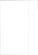 Renault 9 - Vintage Photograph