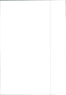 Renault 9 Anti-rust - Vintage Photograph