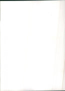 1983 Peugeot 505 Break - Vintage Photograph