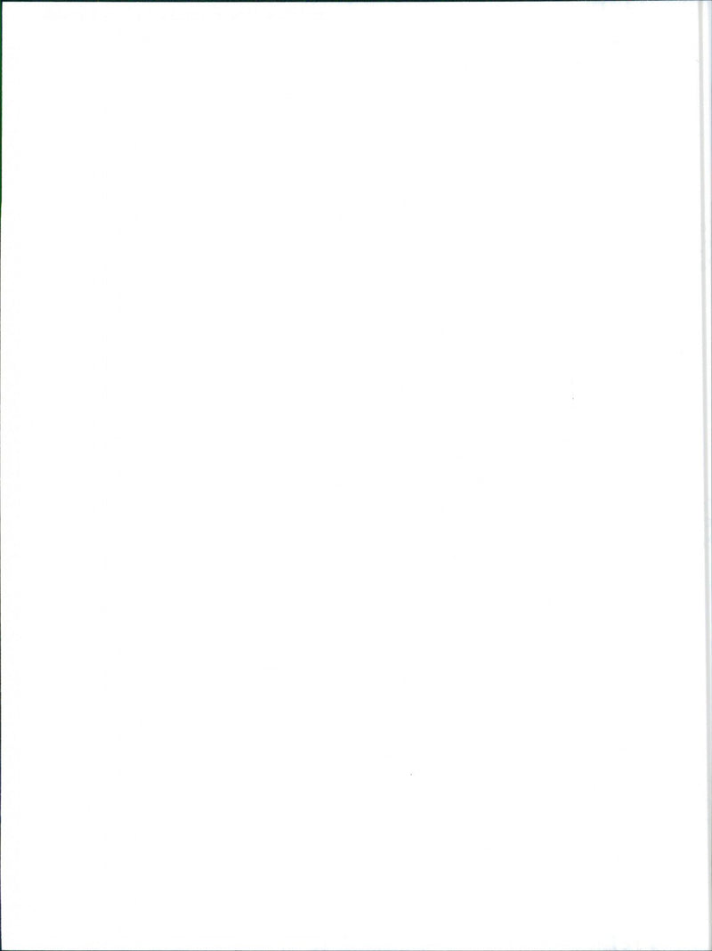 Lancia Delta HF - Vintage Photograph