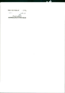 MODEL PETER - Vintage Photograph