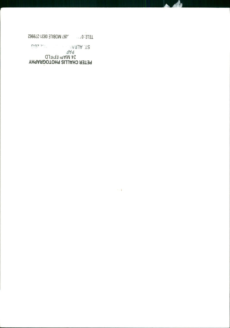 MODEL PETER - Vintage Photograph