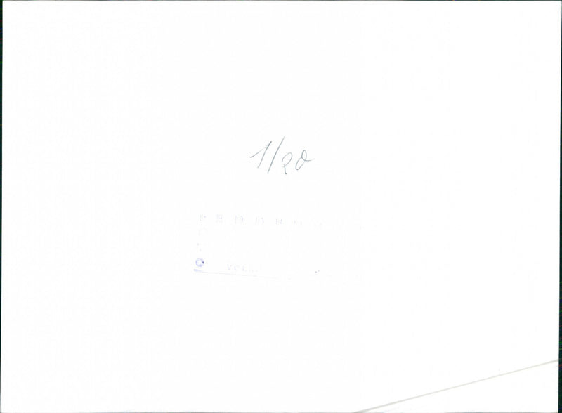 Datsun 200 L - Vintage Photograph