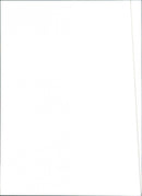 Lancia Y10 fire - Vintage Photograph