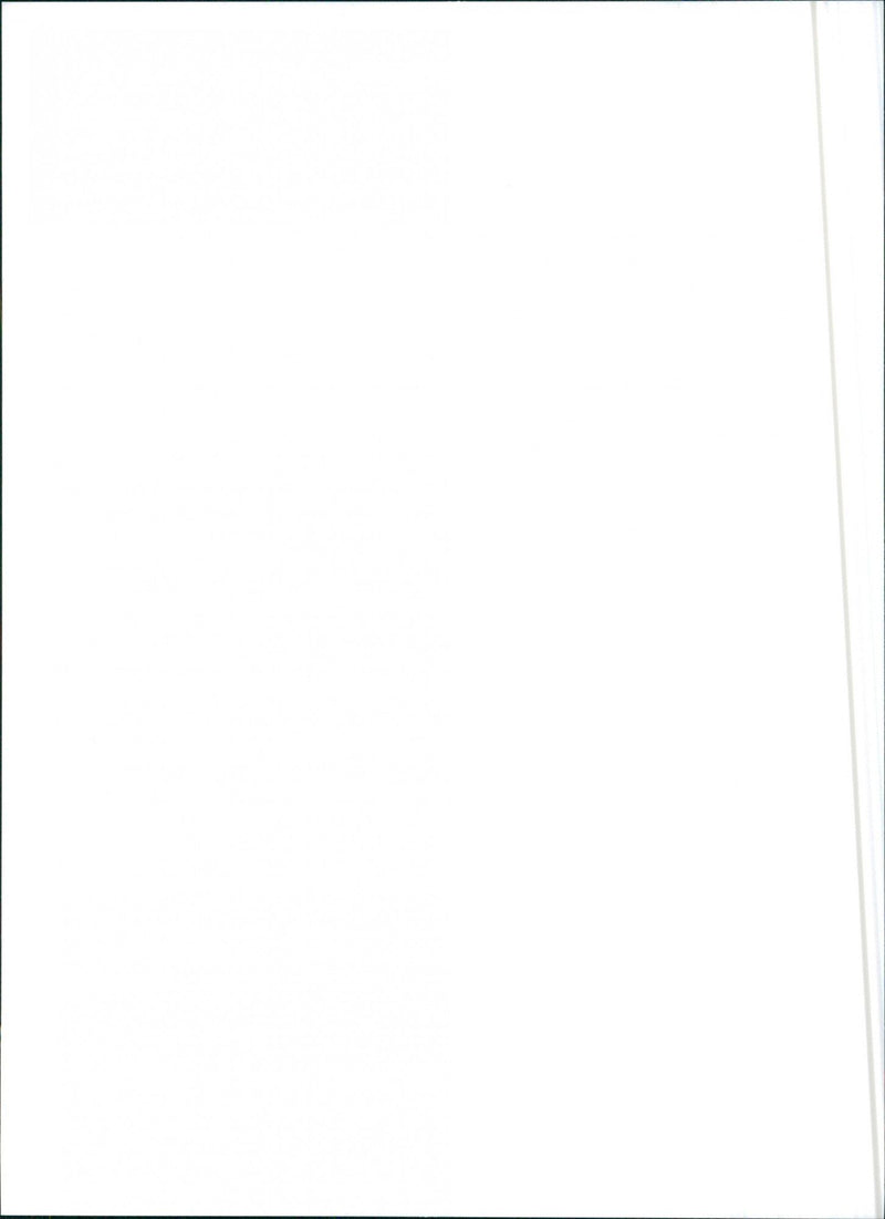 Lancia Y10 fire - Vintage Photograph