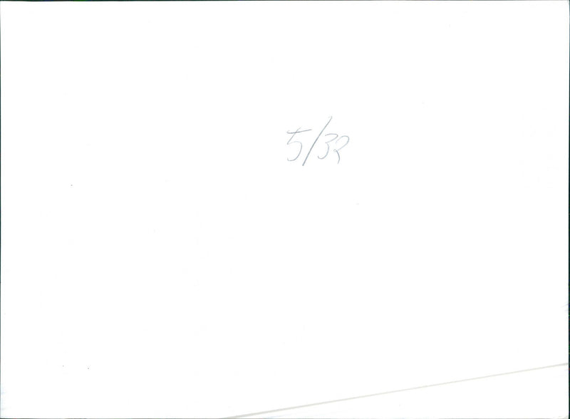 Datsun 200 L - Vintage Photograph