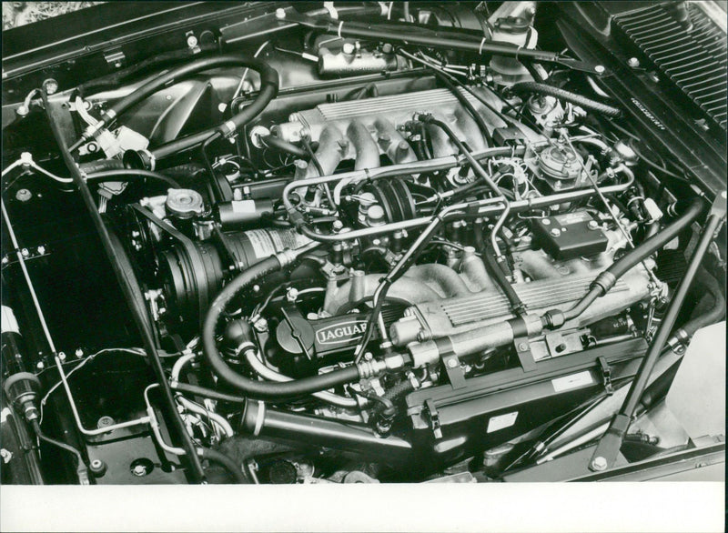 Leyland Jaguar 12-cylinder HE engine - Vintage Photograph