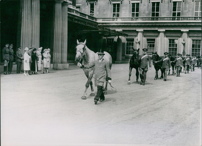 Queen Wilhelmina of the Netherlands - Vintage Photograph