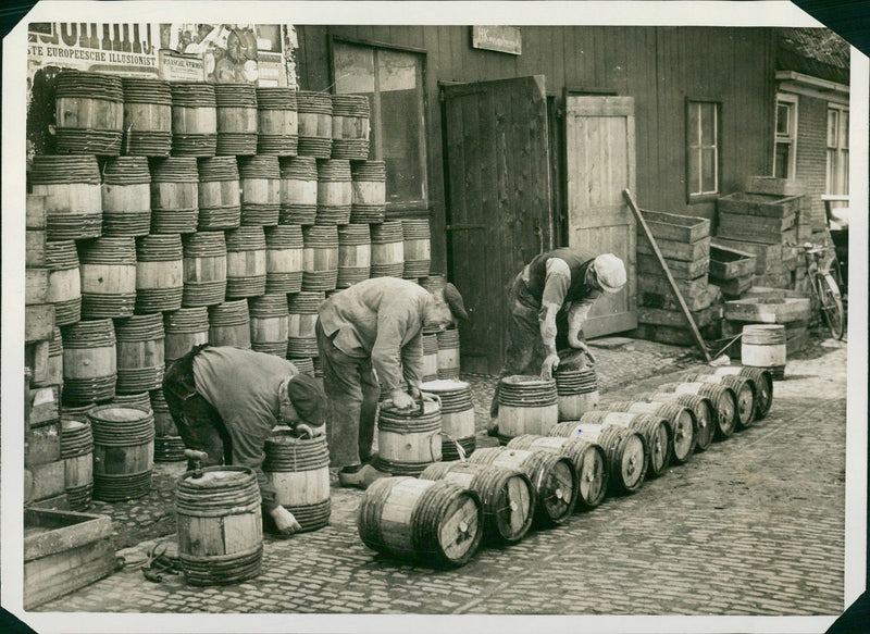 Anchovies catch in the Southern sea - Vintage Photograph