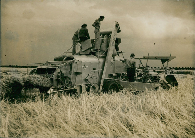 Hay harvesting machine - Vintage Photograph