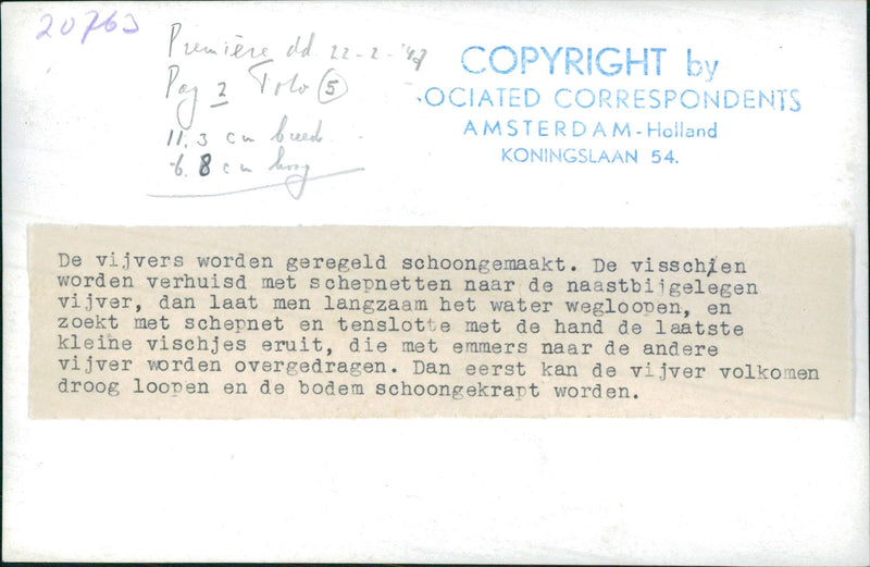 Ponds - Vintage Photograph