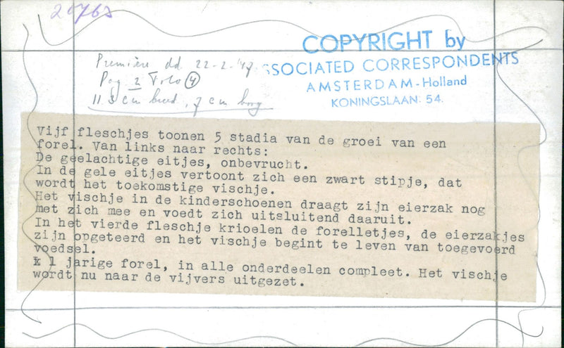 Growing stages of trout fish - Vintage Photograph