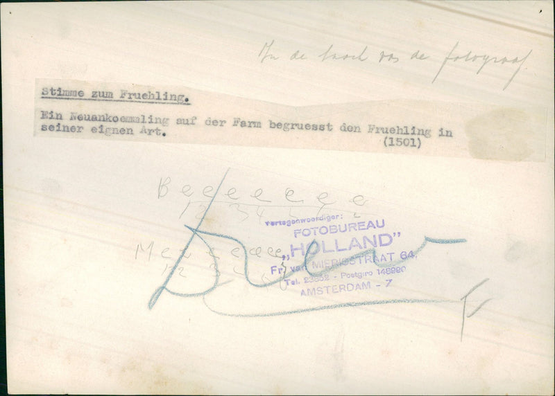 Spring arrival - Vintage Photograph