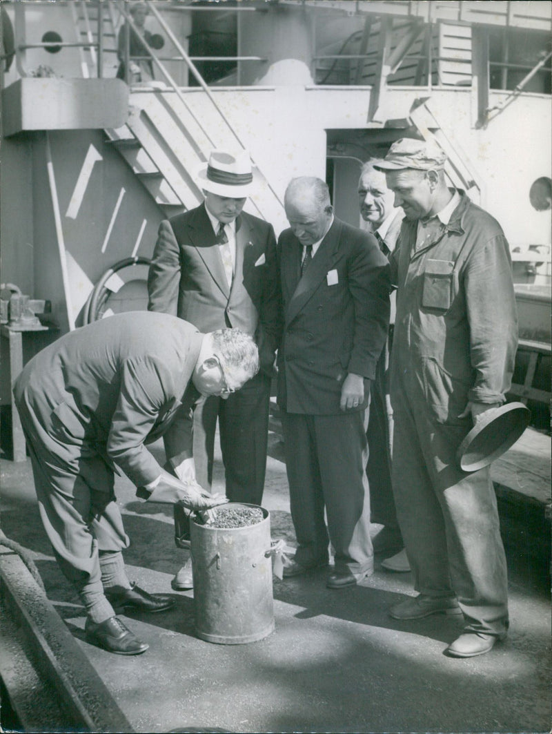 Inspecting the material - Vintage Photograph