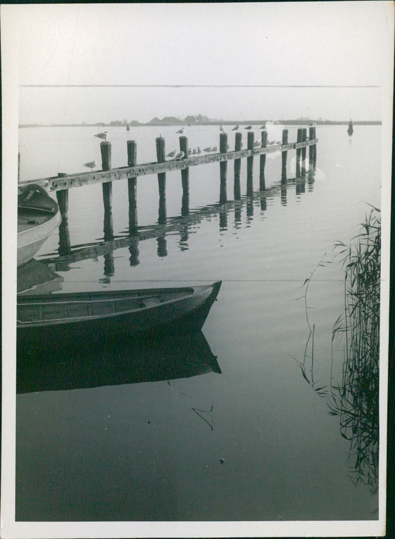 Canopy at jetty - Vintage Photograph