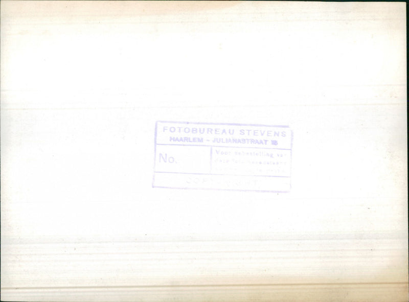 Tulip fields - Vintage Photograph