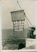 Charlie Plane Recovery - Vintage Photograph