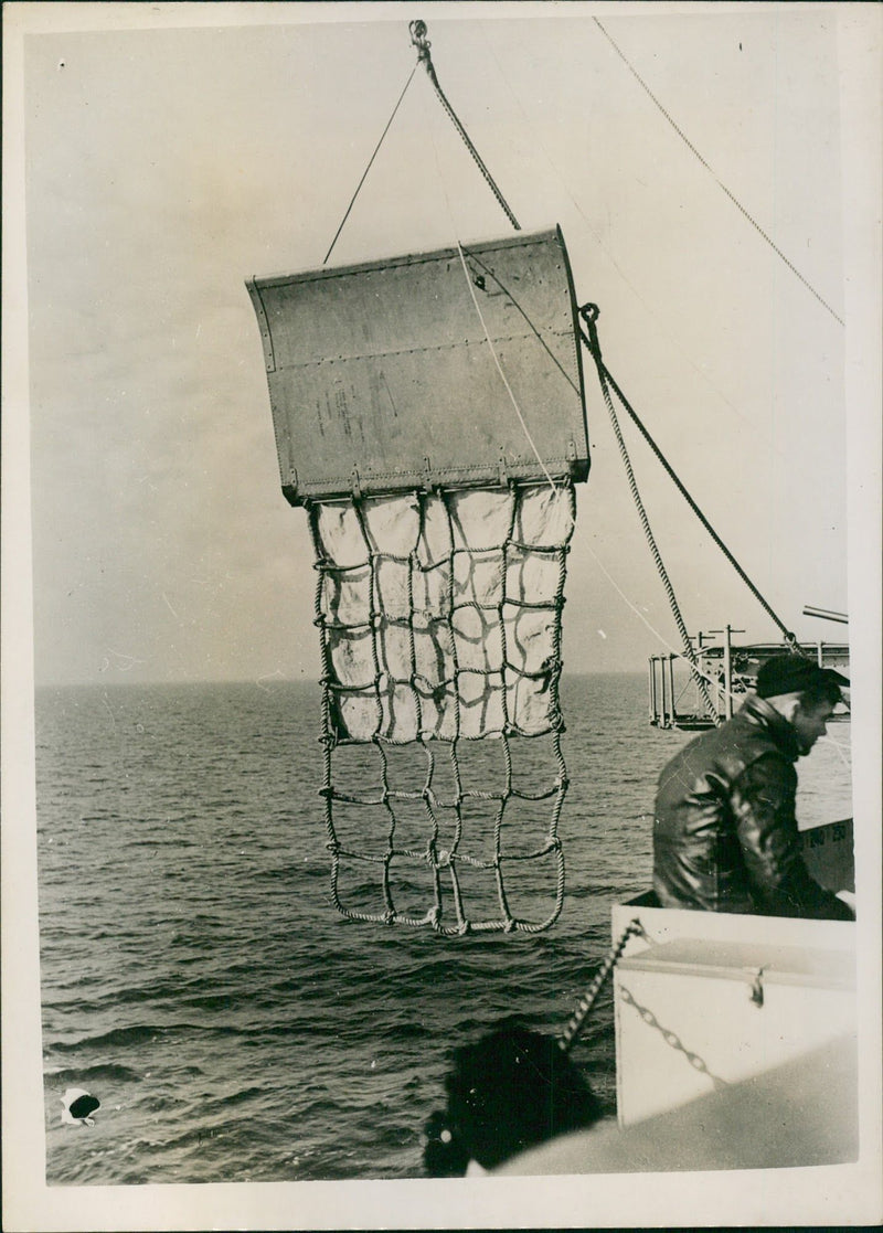 Charlie Plane Recovery - Vintage Photograph