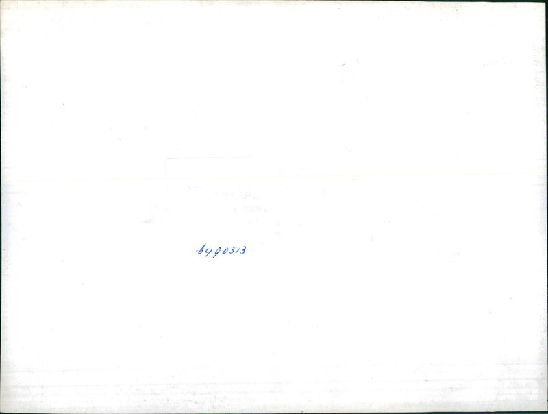 Pig with piglets - Vintage Photograph