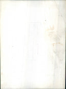 Frederika Boat passengers - Vintage Photograph