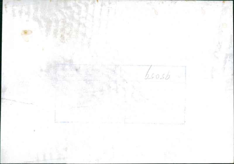 Queen Juliana - Vintage Photograph