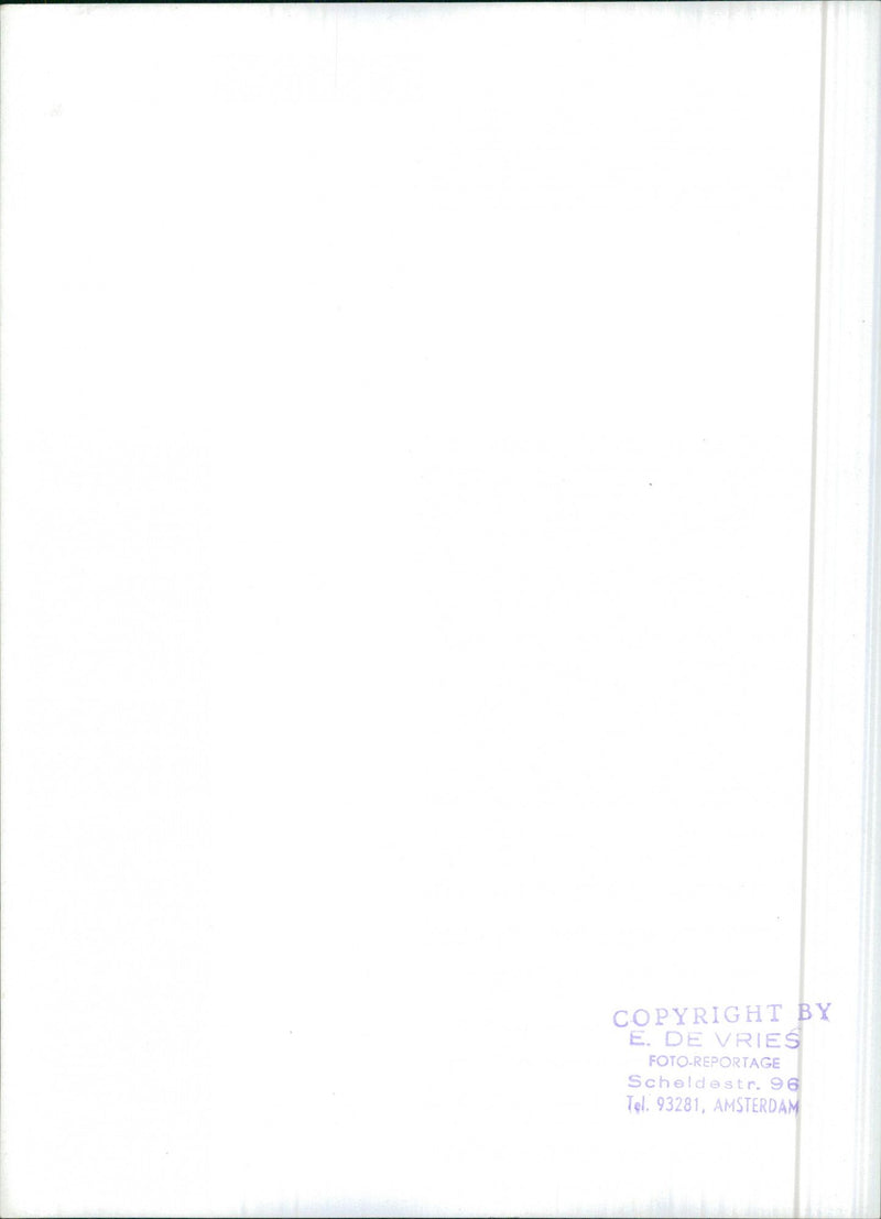 Seeds - Vintage Photograph