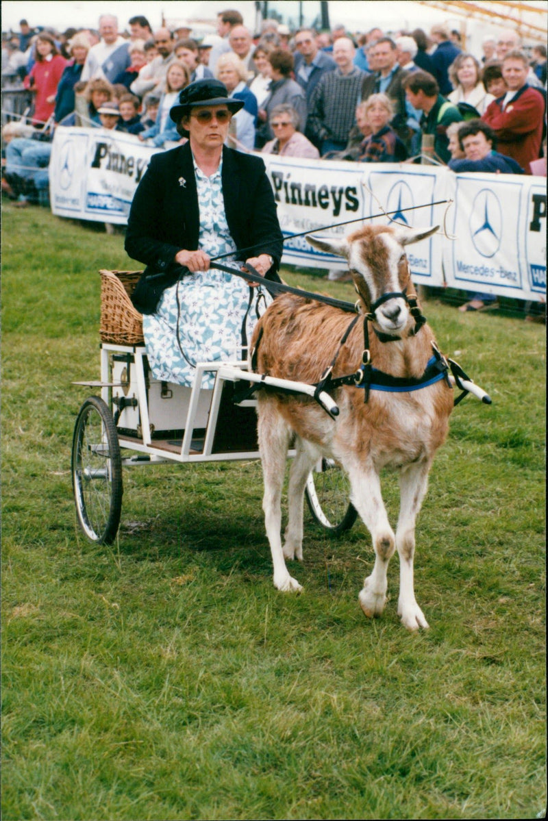 Pinney Vinneys Mercedes mes ficeSMART .... ney And Real INS - Vintage Photograph