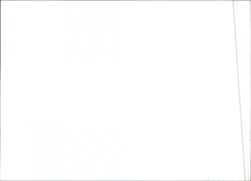 Chevrolet Nova - Vintage Photograph