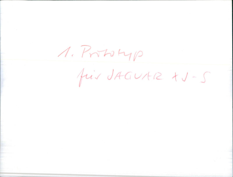 Jaguar - Vintage Photograph