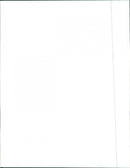 Mercedes Benz 98 - Vintage Photograph