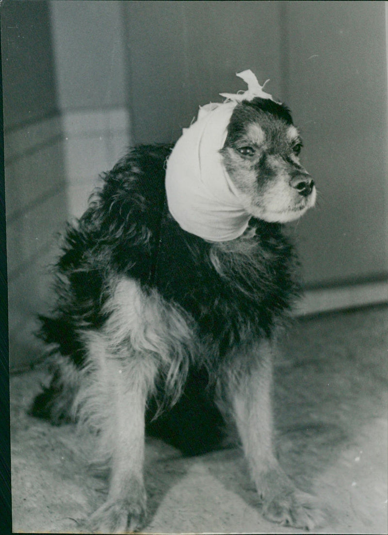 Post operation - Vintage Photograph