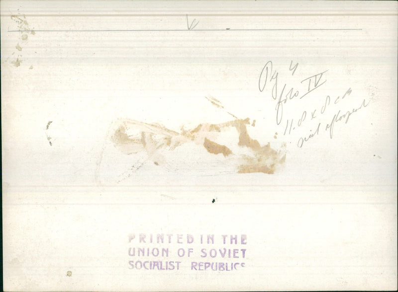 Scale model of a bridge - Vintage Photograph