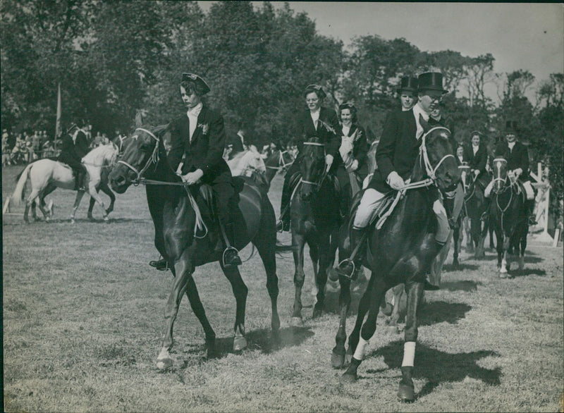 Dressage horses - Vintage Photograph