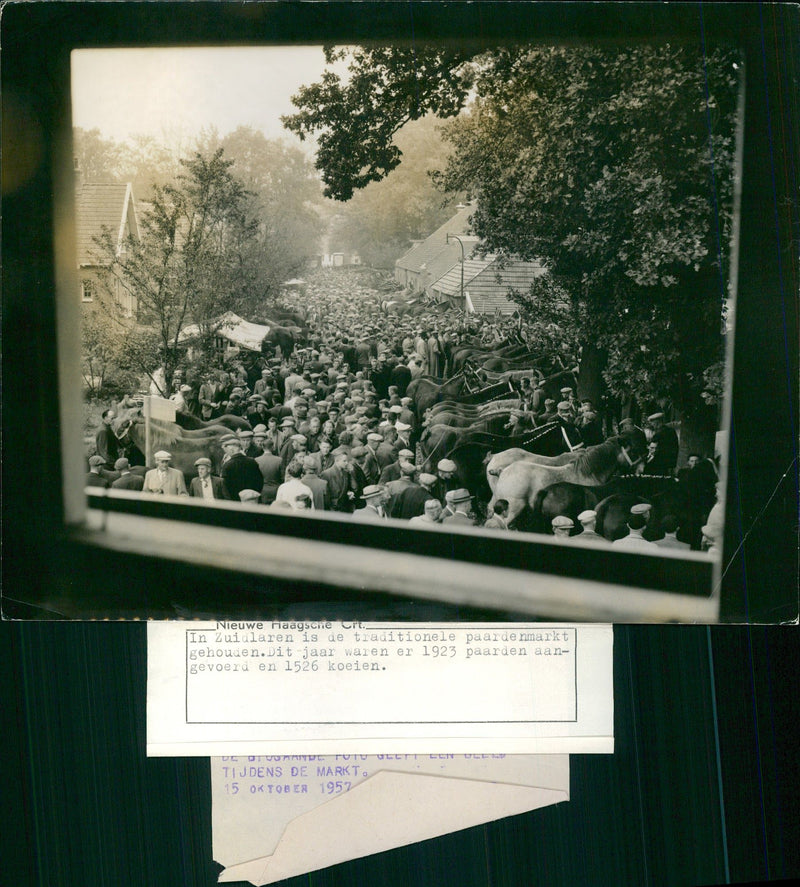 Traditional horse market in Zuidlaren - Vintage Photograph