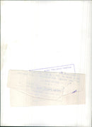 Pope Pius XII - Vintage Photograph