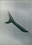 Aerial view of a landing-strip - Vintage Photograph