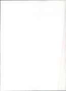 1984 Renault 5 GTL - Vintage Photograph