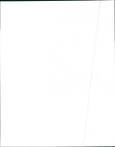 1997 Buick Park Avenue & Ultra - Vintage Photograph