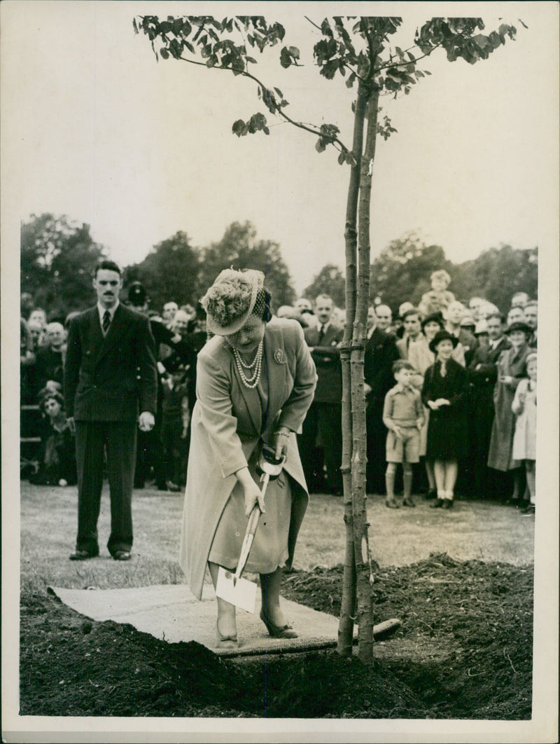 Queen Elizabeth Bowes-Lyon - Vintage Photograph