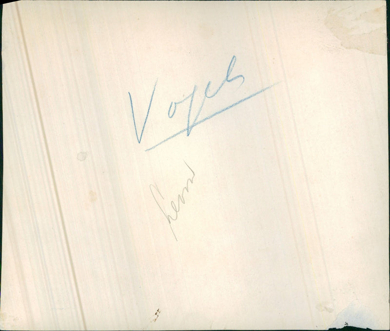 Wader - Vintage Photograph