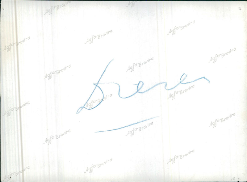 Ocelot - Vintage Photograph