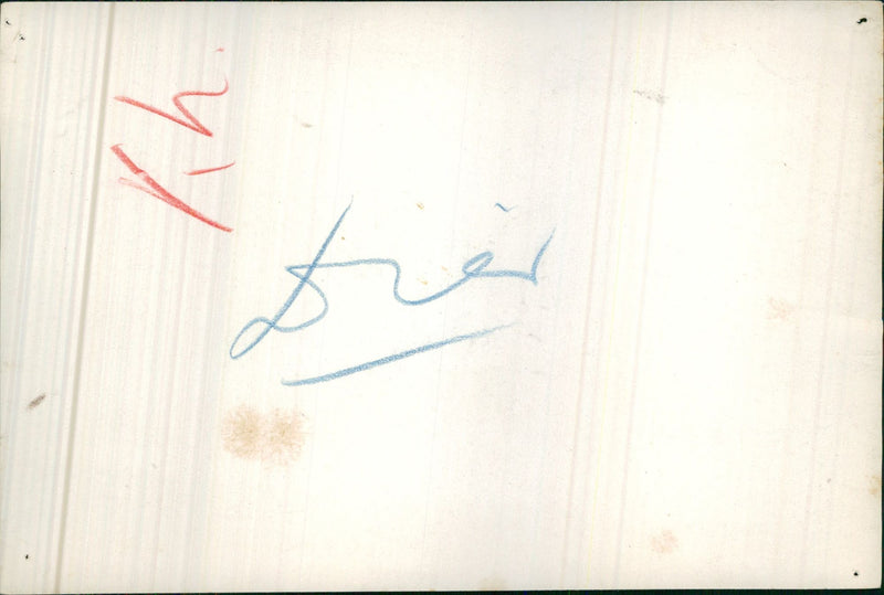 Antelope - Vintage Photograph