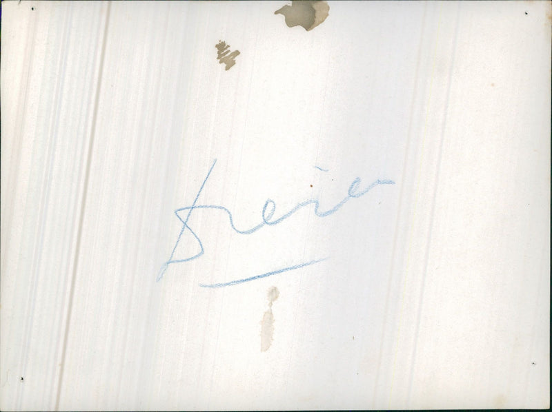 Hippopotamus - Vintage Photograph