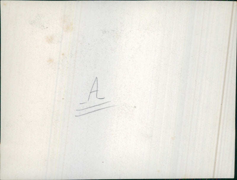 Bear - Vintage Photograph